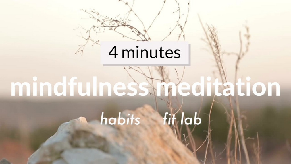 4min Mindfulness Meditation