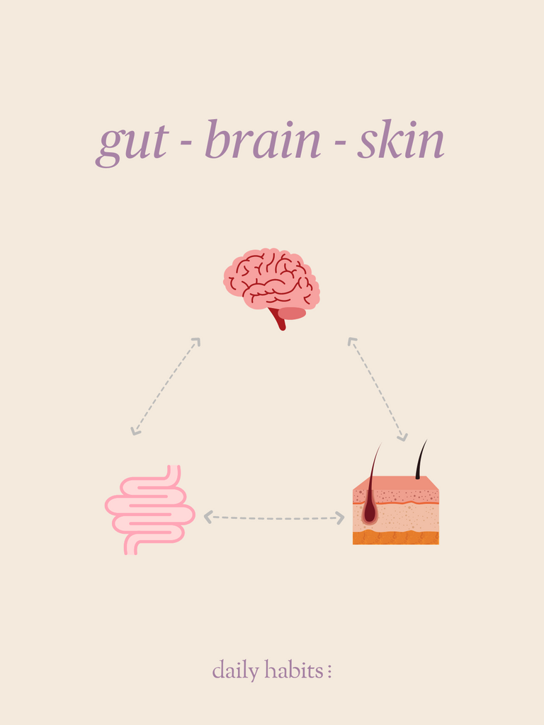 Gut, Brain, & Skin Connection - Healing from the inside out